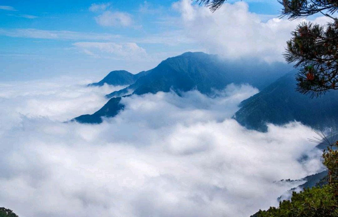 春日山行张旭书法,春日山行张旭写的诗