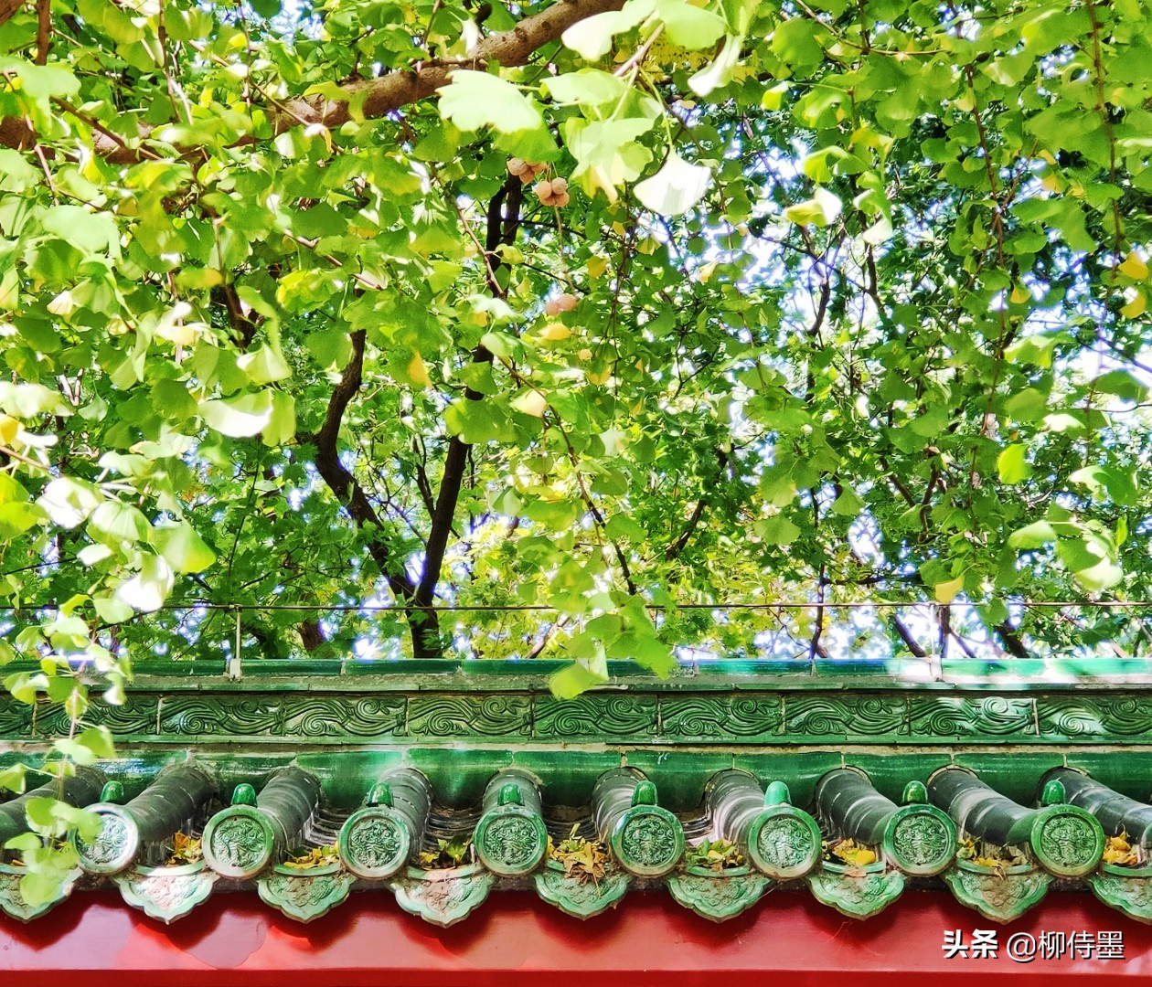 风景不能“胡乱拍”，按照5句摄影口诀，照片提升看得见