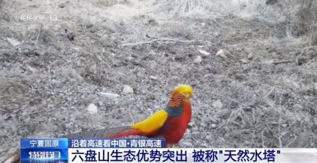 宁夏固原六盘山历史故事,宁夏六盘山历史