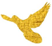 造假者必须受到严惩吗,严正声明打击虚假广告仿品