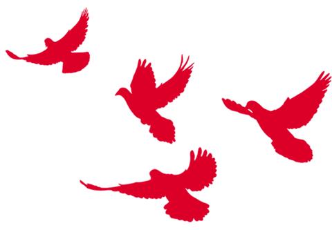 学过哪些马列主义理论和党的知识,跟进学习党史和党的创新理论知识