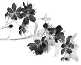 生命游戏数学,数学天才的游戏