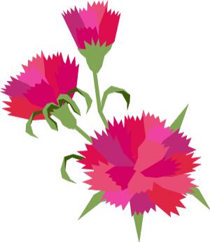 女为悦己者容江苏,女为悦己者容作品集