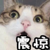 浣犵殑鍚嶇墝琛ｆ湇鏉ヨ嚜鍝噷,浣犵殑鍚嶇墝琛ｆ湇鍝被鏉ョ殑