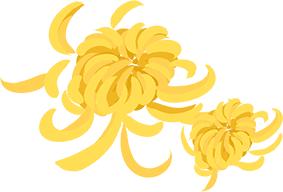 青年之声海口,共青团十一季青年之声