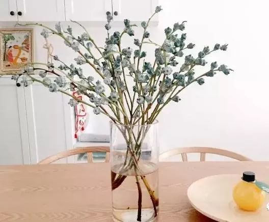 多种花材该如何插花,插花必备的几种花