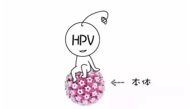 宫颈癌预防率90%的HPV疫苗只有处女才能打？