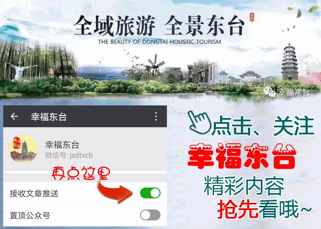 东台支柱产业,江苏东台的制造业