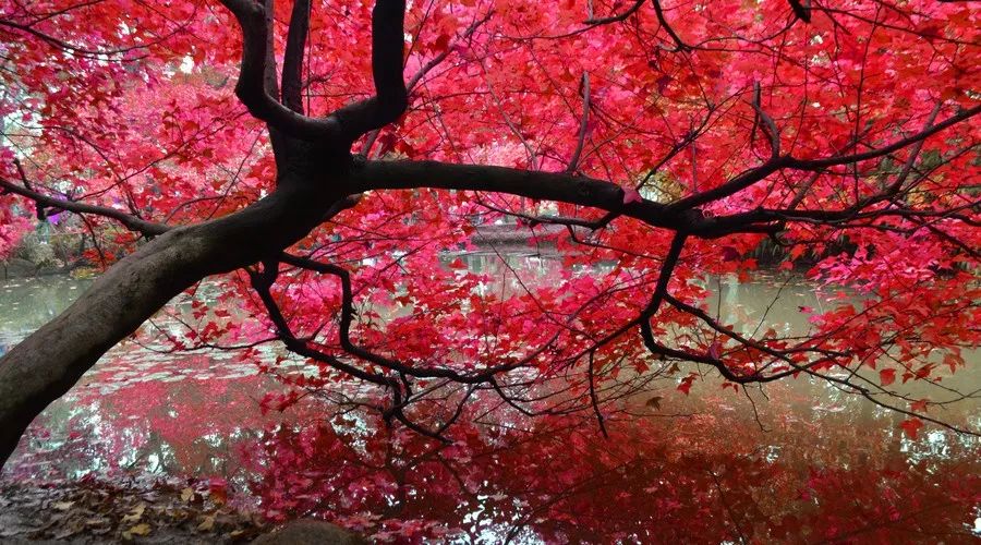 上海虹桥到湖州高铁,上海至湖州高铁多少时间