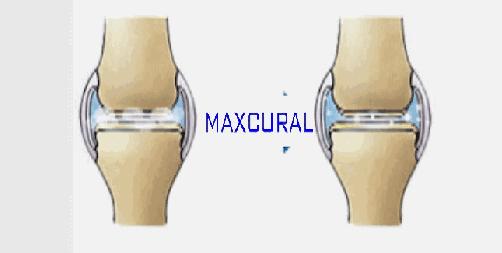 肩颈疼痛膏日本,澳洲缓解关节疼痛霜