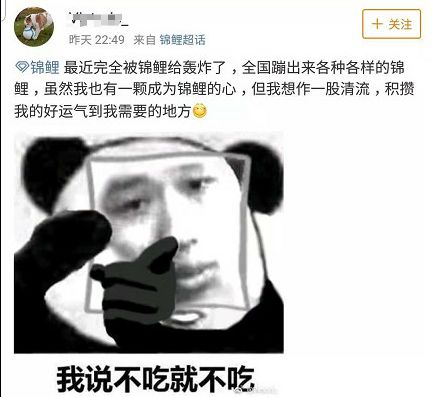 关于锦鲤的骗局有哪些,锦鲤骗局曝光至少30万人已上当