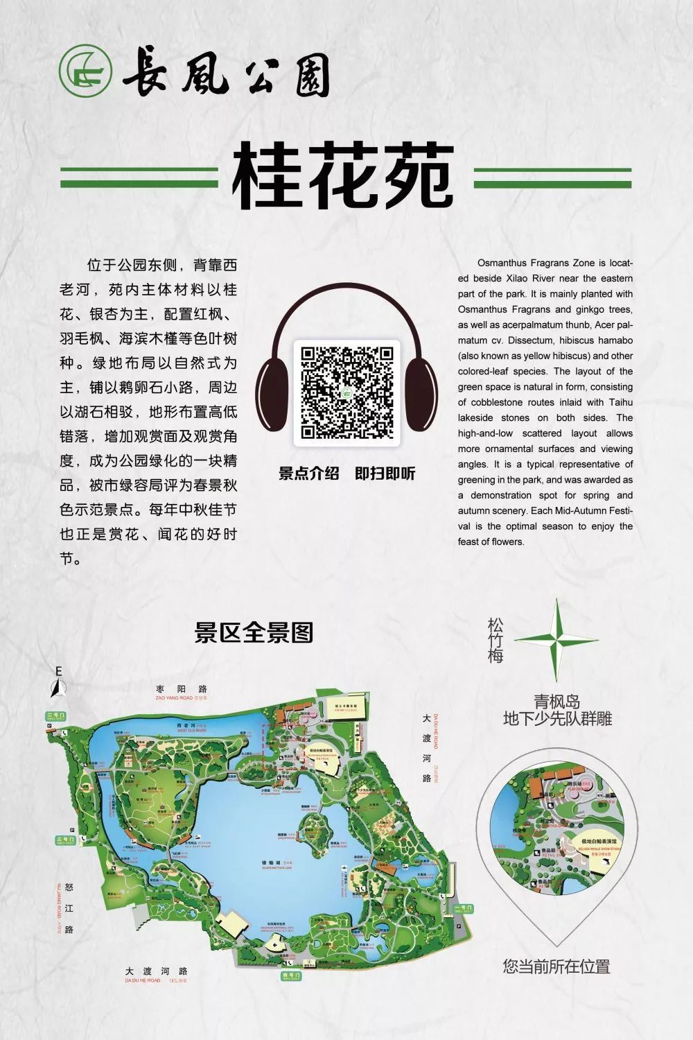 「乐活」寻找秋天的香气，这份赏桂地图请收好~