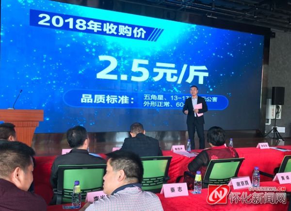 怀化“橙乡合作社”让“山果”变“甜果”