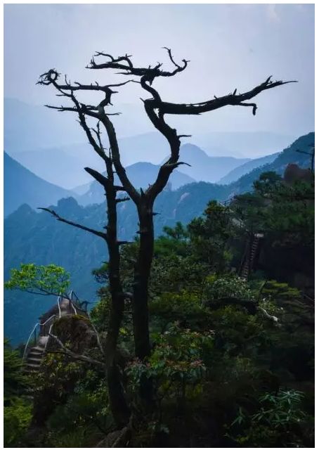 三清山游客评论,三清山评价