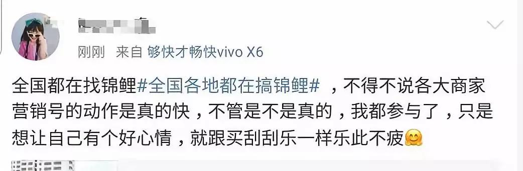 锦鲤骗局揭秘最新消息,锦鲤骗局新套路