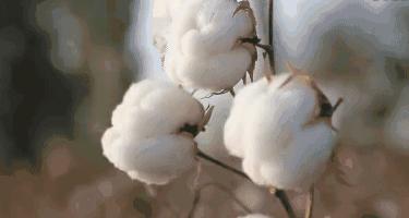 蒸汽抗疲劳缓解黑眼圈眼罩,泰国草本蒸汽眼罩