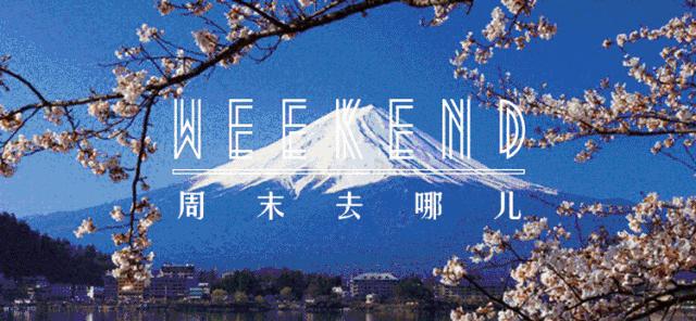 福利|你有一封“奇趣惊魂”的邀请函待查收