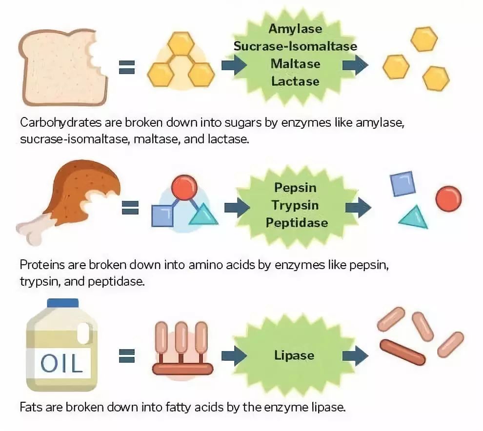 大米阿姨,东北大米阿姨视频