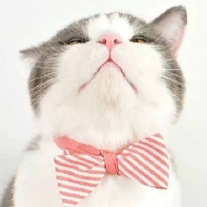 房颤抗栓,治疗房颤有最新突破吗