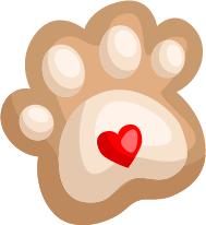 天津各大免费场馆,天津体育场馆恢复正常开放的通知