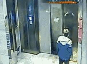 保时捷女司机的道歉到底证明什么,保时捷女司机最后怎么了