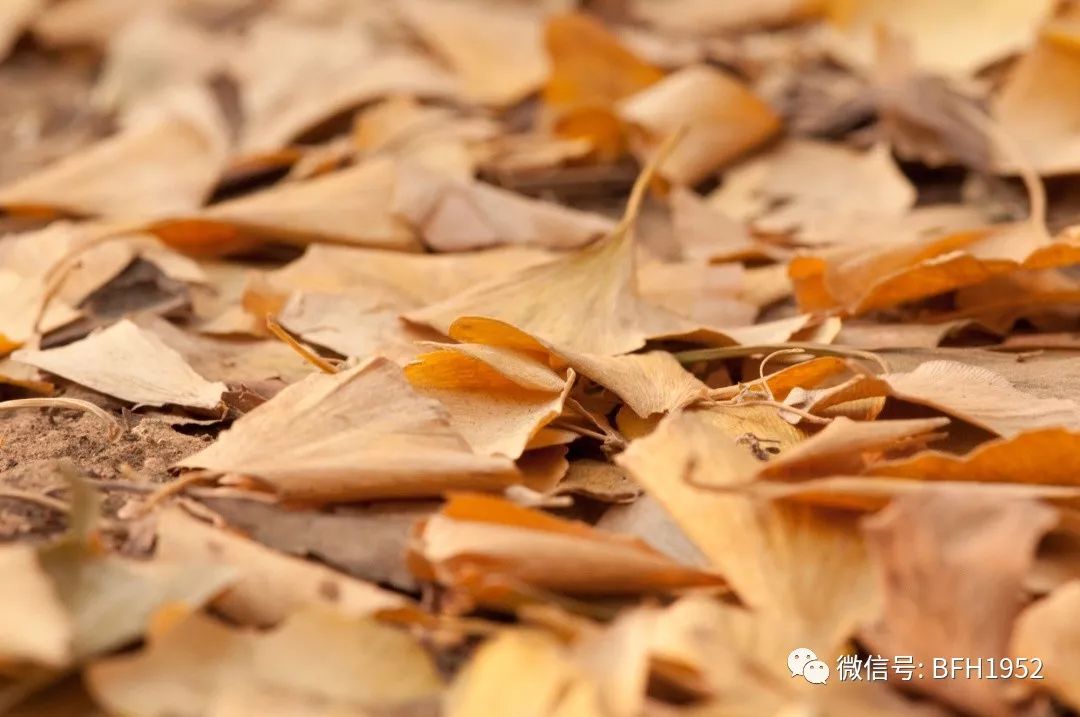 更年期尿道炎反复发作怎么办,解密尿道炎的经典症状