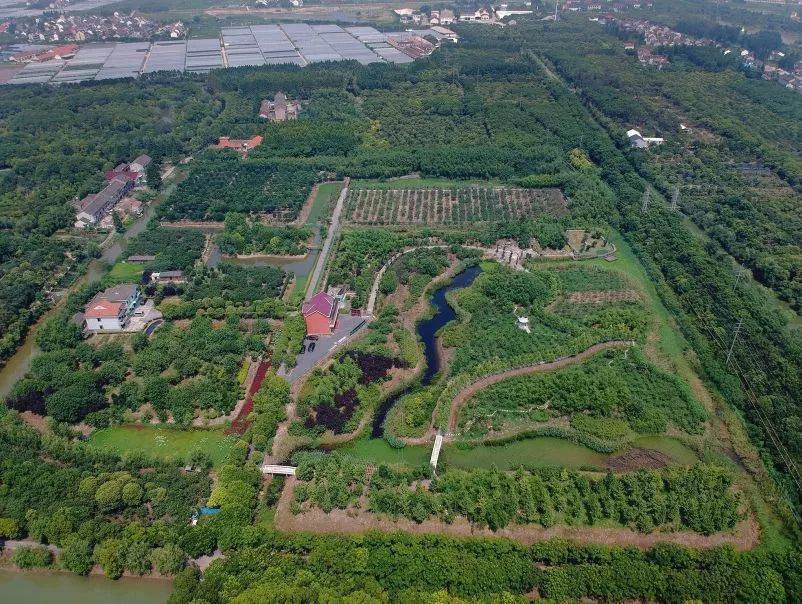 阿拉看环境｜“城市森林中的小生灵”申城有群特殊居民