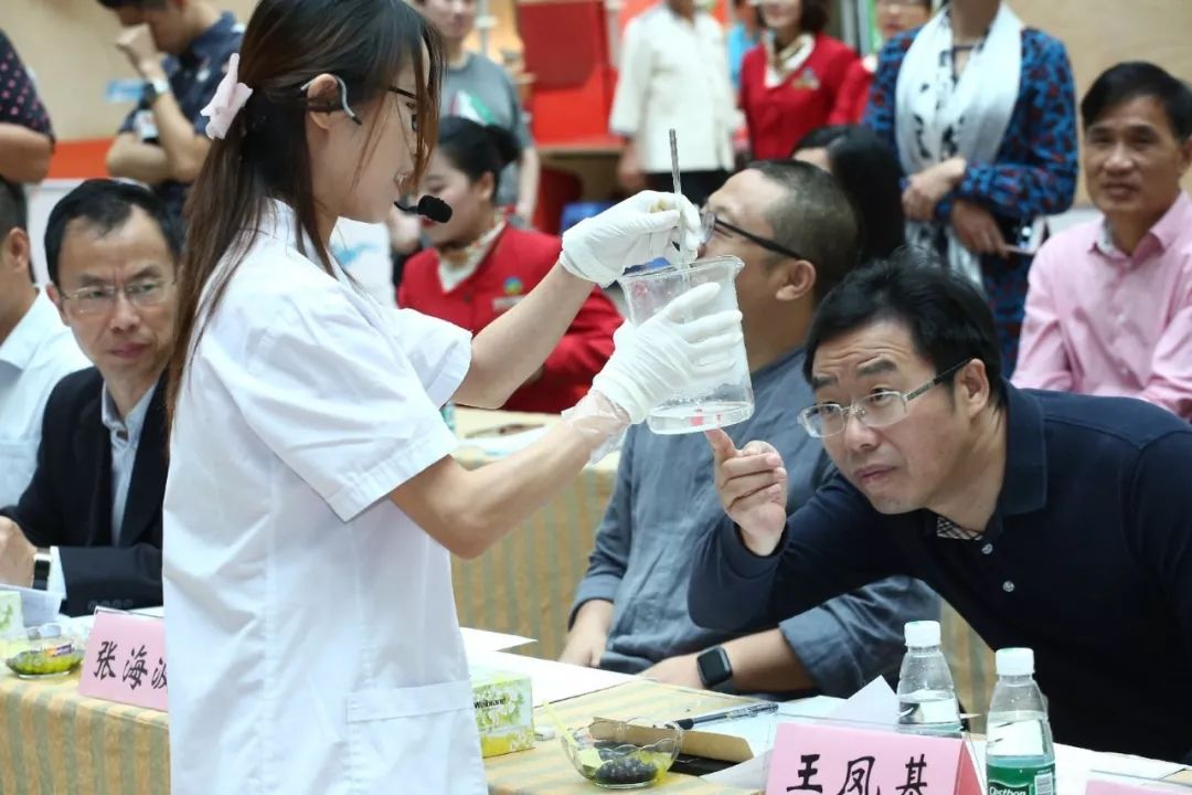 科学知识科普大赛,科学实验缤纷世界