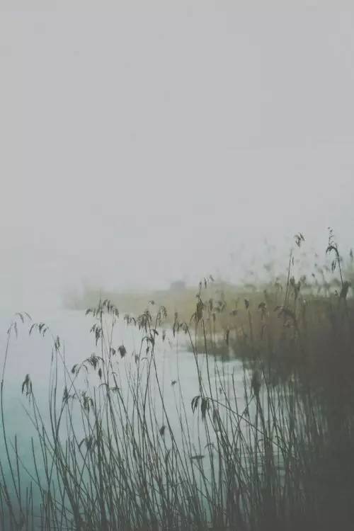 诗词｜中国水平最高的20首诗词，值得一读再读！