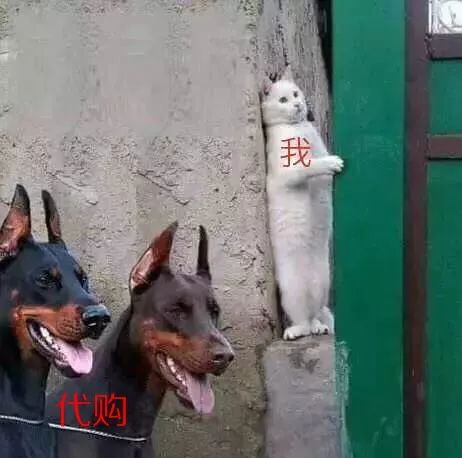 红河人注意！朋友圈代购要不要上税？答案来了，小心被罚200万