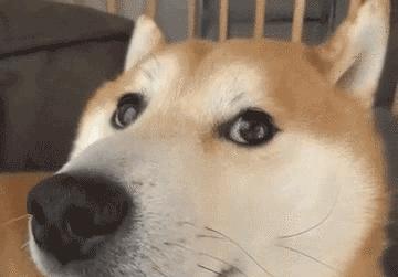 红河州新十条政策,蒙自最新政策公告