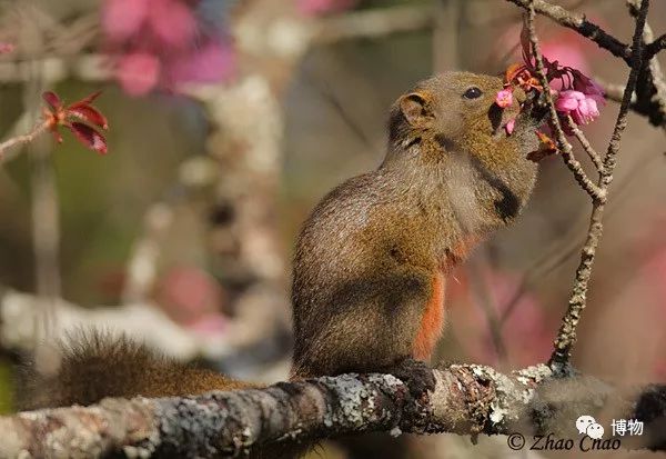 想跟博物一起外出采风？春节我们滇西见