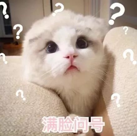 “锦鲤”很忙！*子骗**也没闲着……