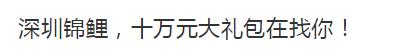 中国锦鲤为什么火了,锦鲤为什么火了
