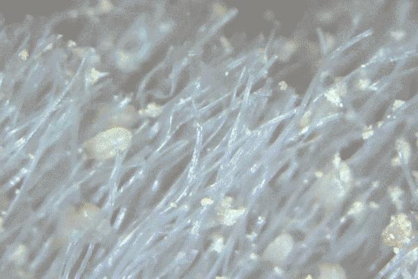 瀹堕噷姘歌繙骞插噣濡傚垵,姘歌繙淇濇寔瀹堕噷鏁存磥