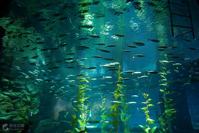 八大山人纪念馆南昌景点必到5处,南昌自驾游必去十大景点