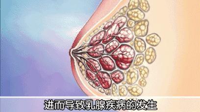 99%的女生都可能得的妇科疾病,99%的女生所不知道的小秘密