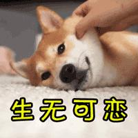 还在为手机防辐射贴买单？专家回应：不可靠