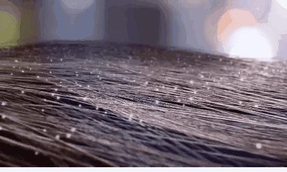 洗发水中的爱马仕是什么,洗发水控油蓬松推荐小众品牌女士