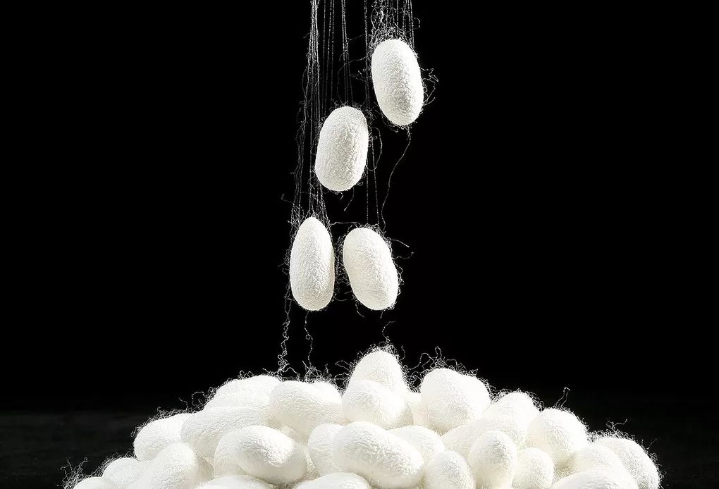 初老抗皱从选择真丝枕套开始,真丝枕套美肤秘诀