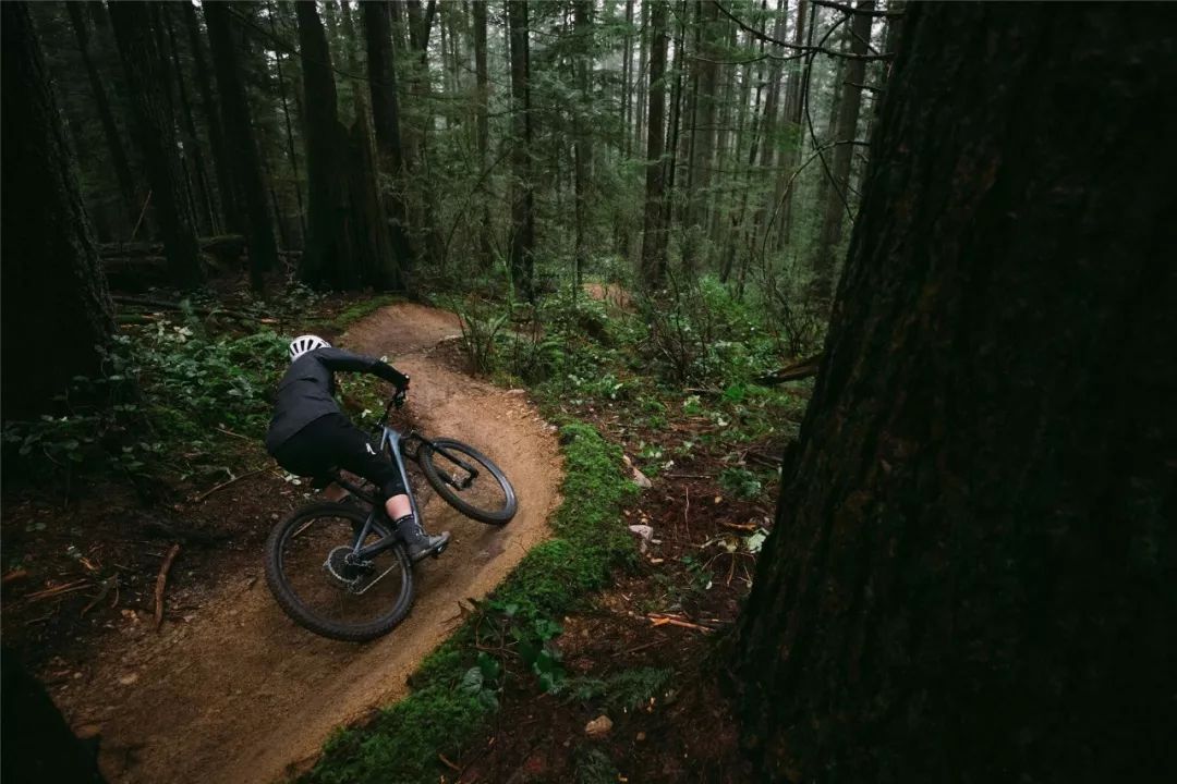 24款山地车推荐性价比之王,2024款12速山地车推荐