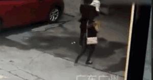 天降大狗案旷日持久谁来担责?