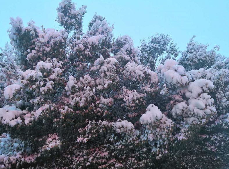 游·达坂城｜下雪了，一起来达坂城看美景~