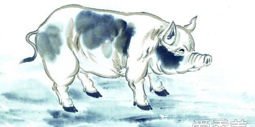 1947年属猪人2024年健康运势,1947年属猪女2022年运势