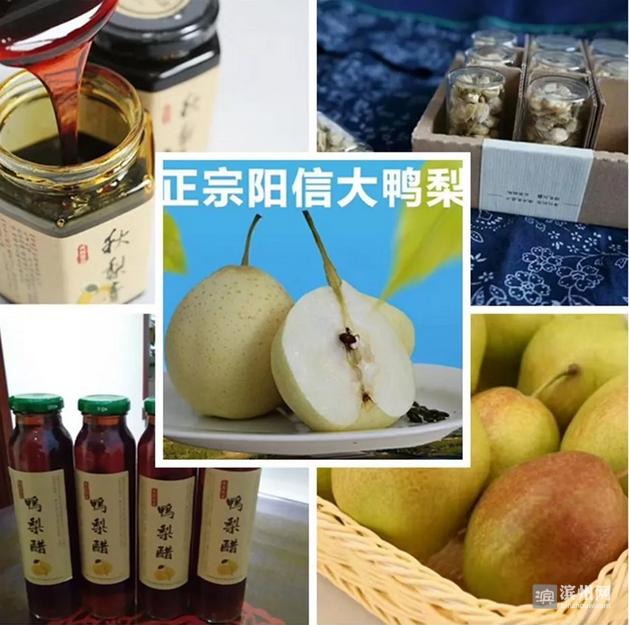 称赞滨州这座城市很美,中国最具幸福感城市2018