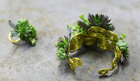 鍞湁鑲夎倝瀵规垜涓嶇涓嶅純,鍙湁鑲夎倝瀵规垜涓嶇涓嶅純