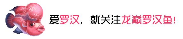 梭菌性肠炎的症状用什么药治疗,慢性肠炎怎么治疗好能彻底去根