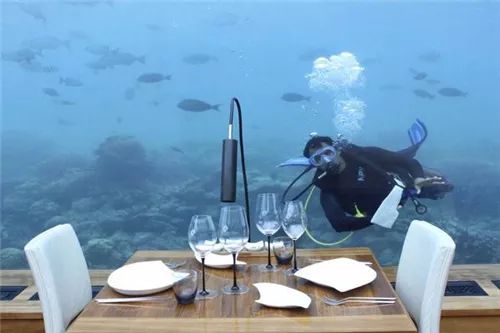 全球最有意思的11个酒店职位：松露猎手、日落风笛手、美人鱼指导员……你知道多少？