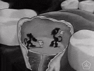 蛀牙真的是虫蛀的嘛,蛀牙是真的有虫吗视频