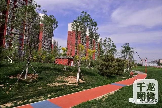 丰台“疏整促”带来8万余平城市绿色拼图!这些批发市场已经消失了……